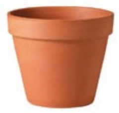 6" Tc Std Clay Pot