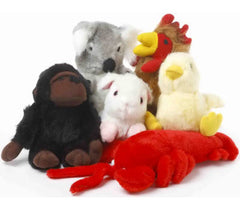 Multipet Look Who's Talking Dog Toy Assorted 1ct