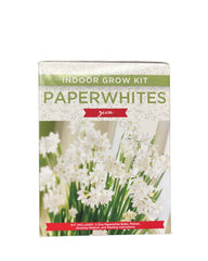 Paperwhites Ziva Indoor Grow Kit