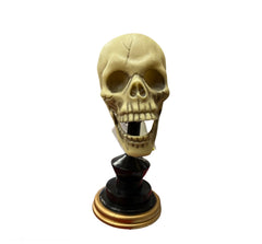 Halloween Skull Decor W/ Moveable Jaw